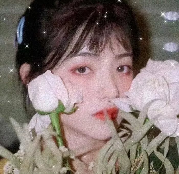 仙女座报告